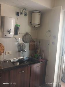 Kitchen Image of 2850 Sq.ft 4 BHK Apartment / Flat for rent in Suncity Parikrama, Sector 20 Panchkula for Rs. 56000