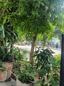 Image of 1100 Sq.ft 2.5 BHK Builder Floor for rent in Uppal Southend, Sector 49, Gurgaon for Rs. 40000