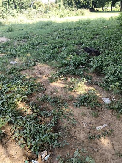 shilp gram 1 Main Image 1