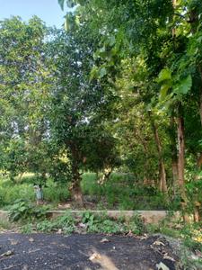 Image of 1456 Sq.ft Residential Plot / Land for sale in Sri Padmavati Mahila Visvavidyalayam, Tirupathi for Rs. 2950000