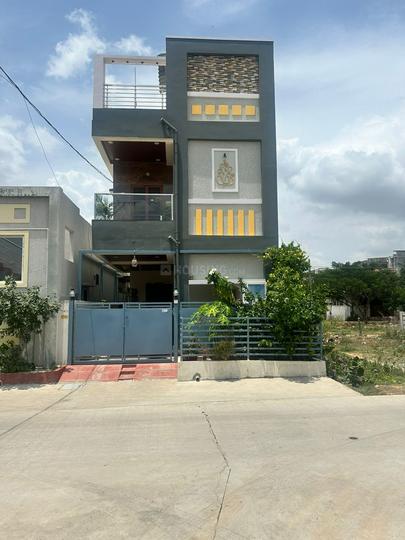 dammai Main Image 1