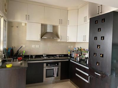 Kitchen Image of 1519 Sq.ft 3 BHK Apartment / Flat for rent in Sobha Forest View, Lingadheeranahalli Bengaluru for Rs. 47000