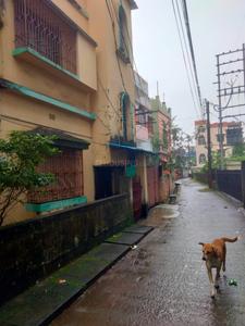 Image of 1440 Sq.ft 5 BHK Independent House for sale in Rajarhat, Kolkata for Rs. 7500000