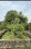 Full boundary plot for sale Plot View 2