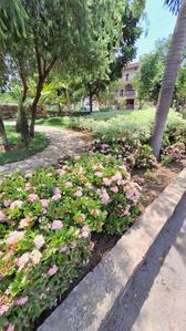 Image of 1500 Sq.ft Residential Plot / Land for sale in Wallfort Paradise, Kandul, Raipur for Rs. 4500000