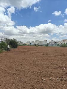 Samethanahalli Plot View 3