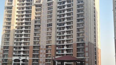 Image of 1775 Sq.ft 3 BHK Apartment / Flat for sale in Ambika Florence Park, New Chandigarh, Chandigarh for Rs. 13500000