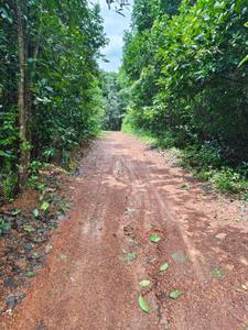 Image of 43650 Sq.ft Residential Plot / Land for sale in Belman, Udupi for Rs. 5000000