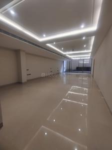 Hall Image of 4500 Sq.ft 4 BHK Builder Floor for sale in Greater Kailash I New Delhi for Rs. 120000000