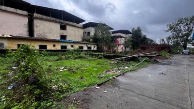 Palaspa Plot View 3