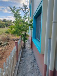 Image of 1462 Sq.ft 3 BHK Villa for rent in AVS Sunfield Plots, Marasandiram, Hosur for Rs. 20000