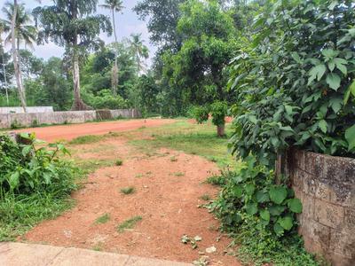 Image of 1400 Sq.ft Residential Plot / Land for sale in Chalakudy, Thrissur for Rs. 16500000