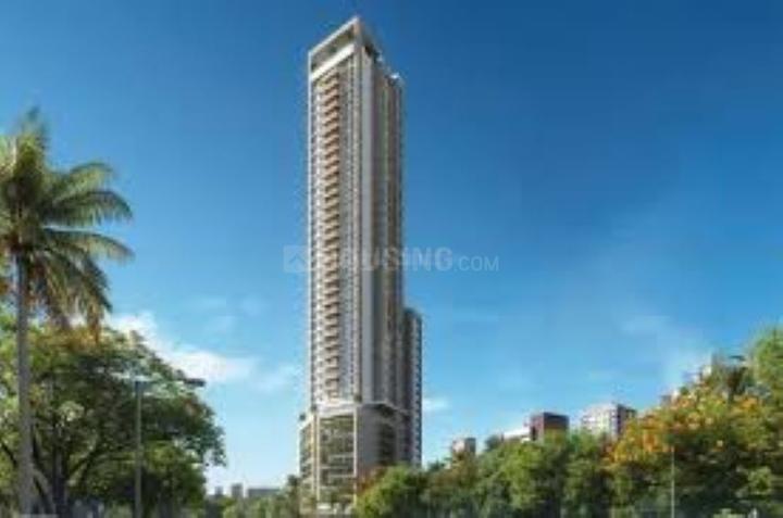 Spenta Medius Main Image 1