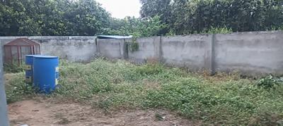 Image of 2800 Sq.ft 3 BHK Farm House for sale in Chilkur, Hyderabad for Rs. 25000000