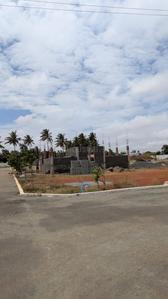 Image of 1636 Sq.ft Residential Plot / Land for sale in Neelambur, Coimbatore for Rs. 4324000