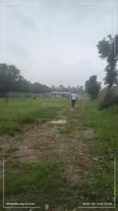 EKTA AVENUE DHARMAWALA CHOOK Plot View 1