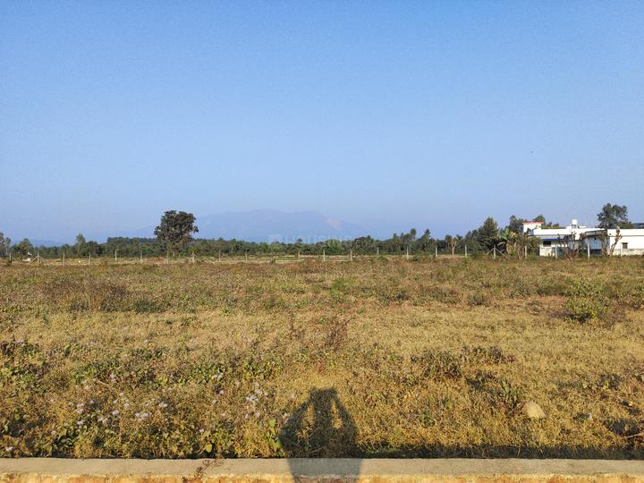 Shankarpur Main Image 1