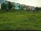 Jagamara Plot View 2