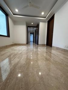 Hall Image of 4500 Sq.ft 4 BHK Builder Floor for rent in Panchsheel Park New Delhi for Rs. 275000