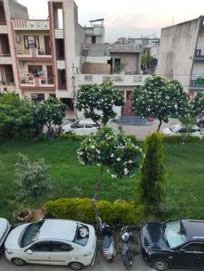 Balcony Image of 1395 Sq.ft 3 BHK Apartment / Flat for sale in Madhavpuram Meerut for Rs. 6000000