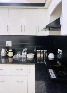 Kitchen Image of 1650 Sq.ft 3 BHK Apartment / Flat for rent in Doon Capital Paradise, Dehrakhas Dehradun for Rs. 52000
