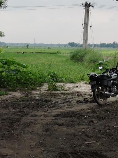 Shiv Lok Dhoi Donar Darbhanga Main Image 1