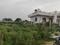 Jalpura, Noida Extension Plot View 2