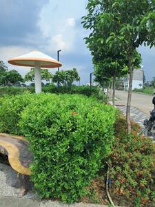 Image of 800 Sq.ft Residential Plot / Land for sale in Mamta Golden Valley, Balya Kheda, Indore for Rs. 4400000