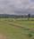 SDC florence Main Image 1