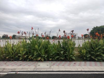 Image of 140 Sq.ft Residential Plot / Land for sale in New Stone Coral Park, Sector 84, Faridabad for Rs. 18900000