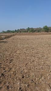 City Prop Plot in Dronagiri Plot View 2