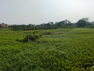 Sonargaon 2 Plot View 2