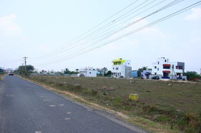 Plot View