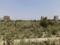 Pocket GH3 Plot View 2