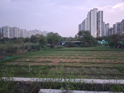 Image of 1350 Sq.ft Residential Plot / Land for sale in Sector 116, Noida for Rs. 10000000
