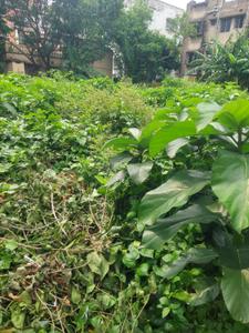 Kalikapur land Plot View 3