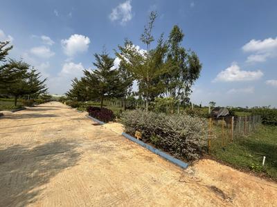 Image of 1200 Sq.ft Residential Plot / Land for sale in Anekal, Bengaluru for Rs. 4798800