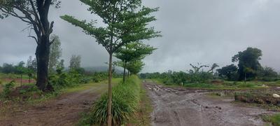 Image of 5380 Sq.ft Residential Plot / Land for sale in Trimbak, Nashik for Rs. 2950000