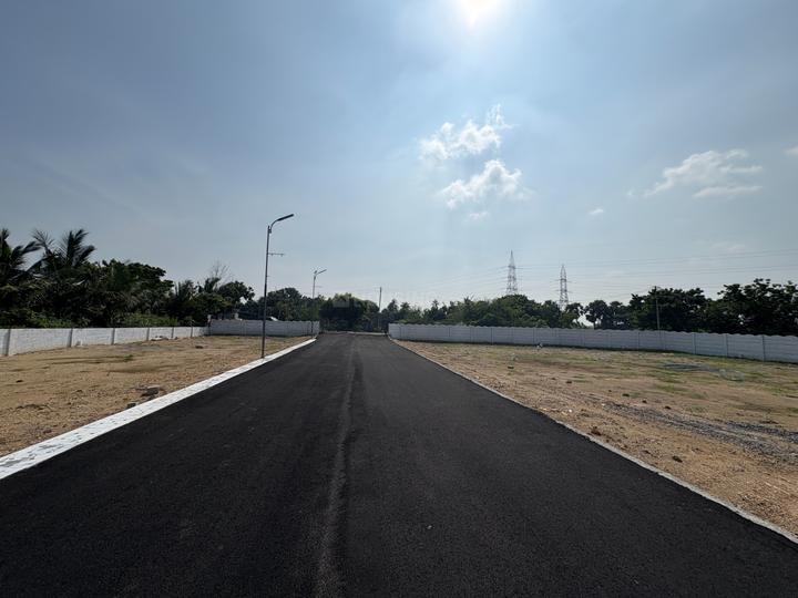 SK blossom Main Image 1