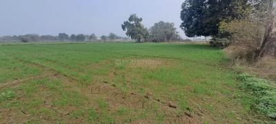 Image of 5000 Sq.ft Residential Plot / Land for sale in Ajayabpur, Greater Noida for Rs. 55000000