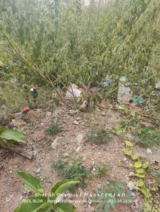 Image of 2400 Sq.ft Residential Plot / Land for sale in Vidyaranyapura, Bengaluru for Rs. 28000000
