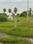 Pushpagiri Main Image 1
