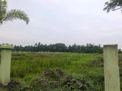 Bhasa Eco Village Plot View 2