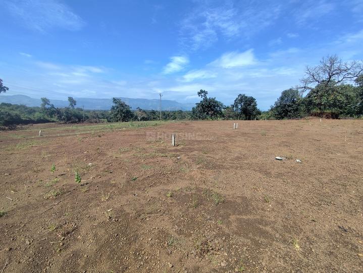 Anjap pej Main Image 1