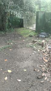 Aroor Plot View 1