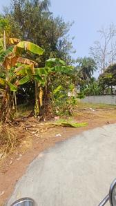 Chevarambalam Plot View 2
