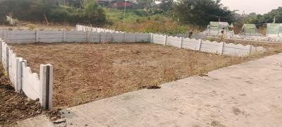 Pirangut Plot View 2