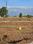 Chakan Main Image 1
