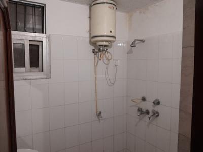 Image of 667 Sq.ft 1 BHK Apartment / Flat for rent in Sector 49, Chandigarh for Rs. 25500