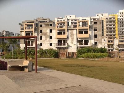 Image of 1169 Sq.ft 3 BHK Builder Floor for sale in BPTP Park Elite Floors, Sector 85, Faridabad for Rs. 11500000